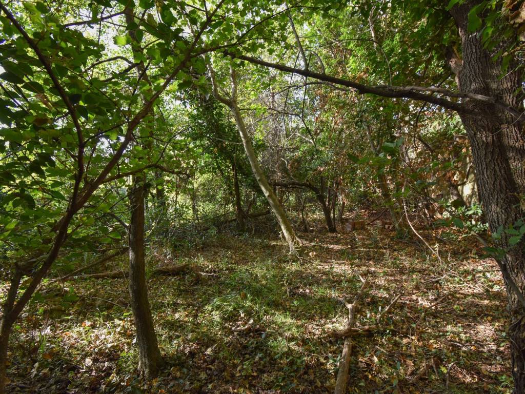 Terreno a Muggia - Foto 3