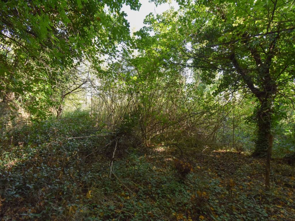 Terreno a Muggia - Foto 4