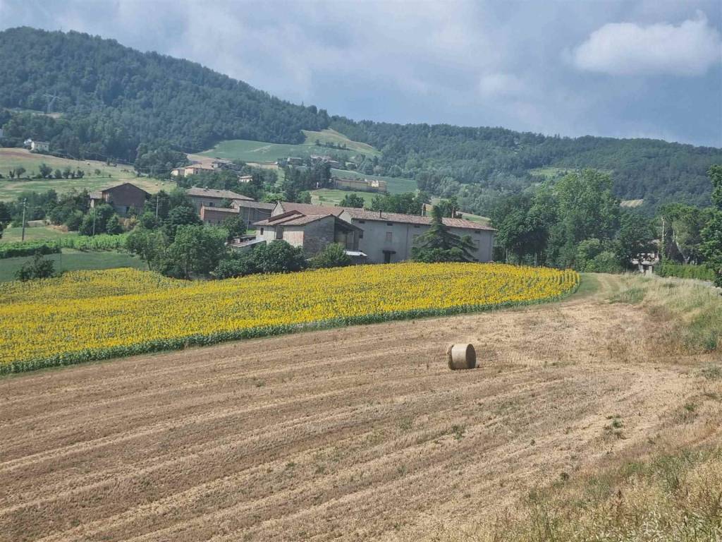 Rustico / casale a Gazzola - Foto 3