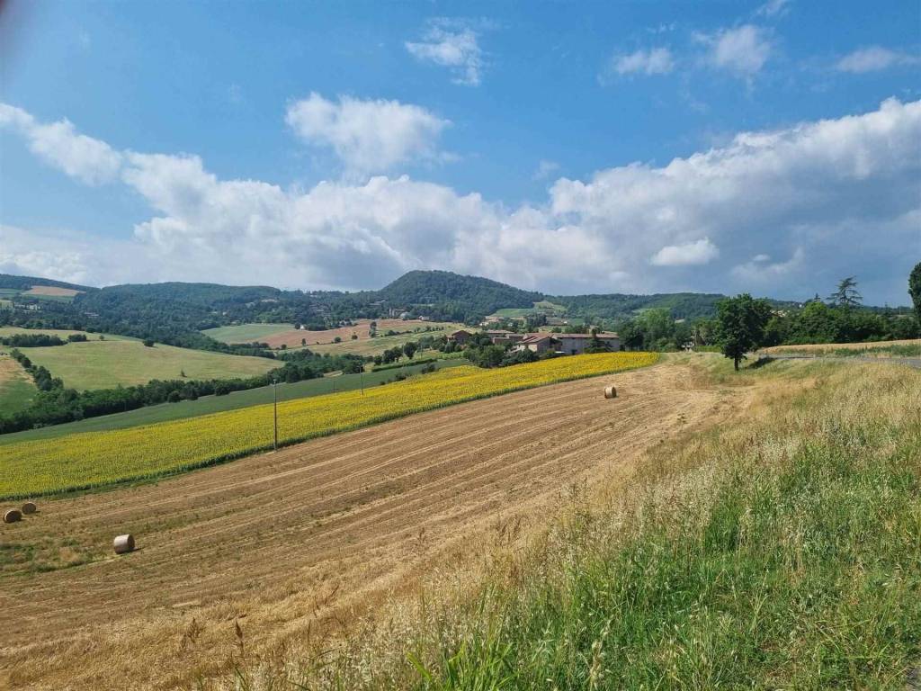 Rustico / casale a Gazzola - Foto 5