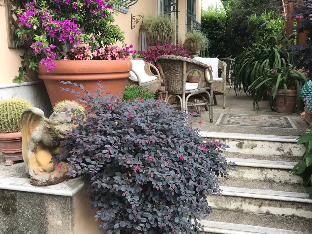 Villa a Pietrasanta in Via Casone - Foto 4