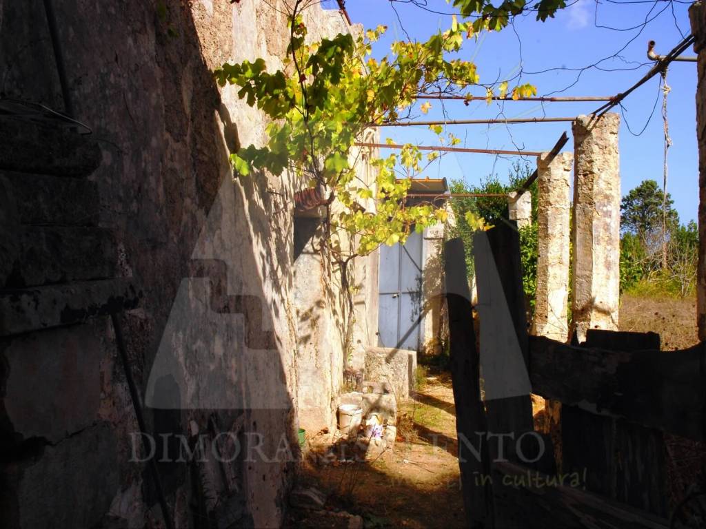 Terreno a Alessano in Contrada Boceti - Foto 3