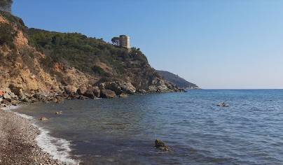 Appartamento a Monte argentario - Foto 3