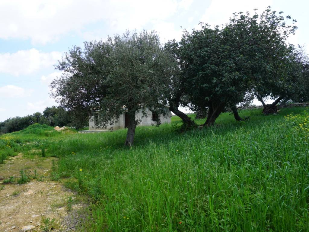 Rustico / casale a Modica in Via Enrichetta Giunta, 10 - Foto 3