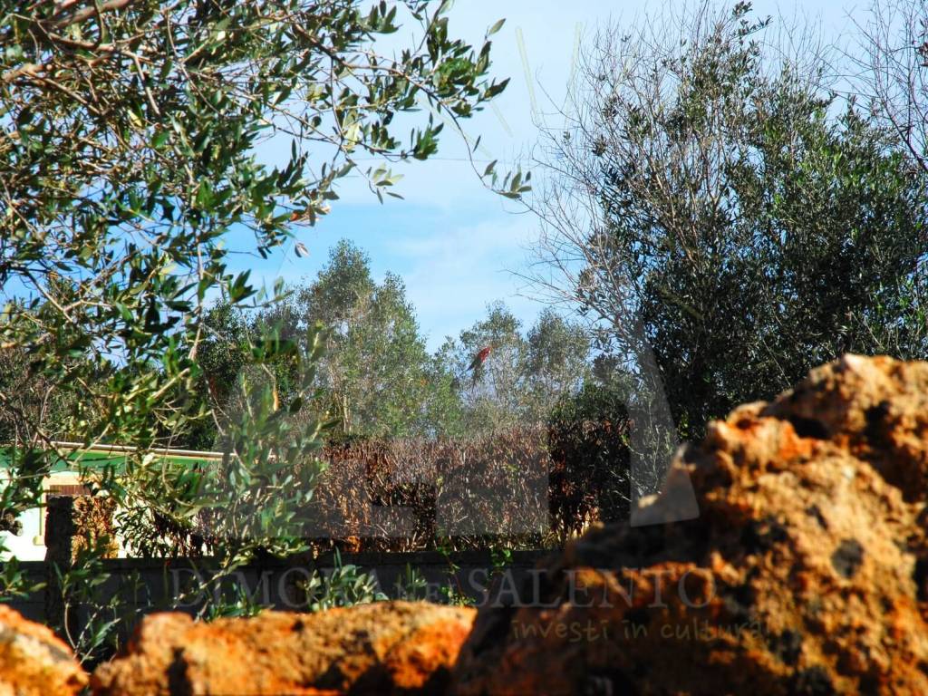 Terreno a Corsano in Via Camporelle - Foto 4