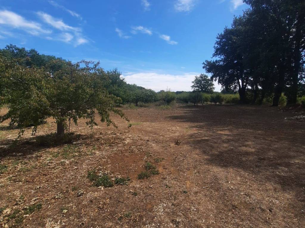 Villa a Manciano in Strada Provinciale Campigliola - Foto 2