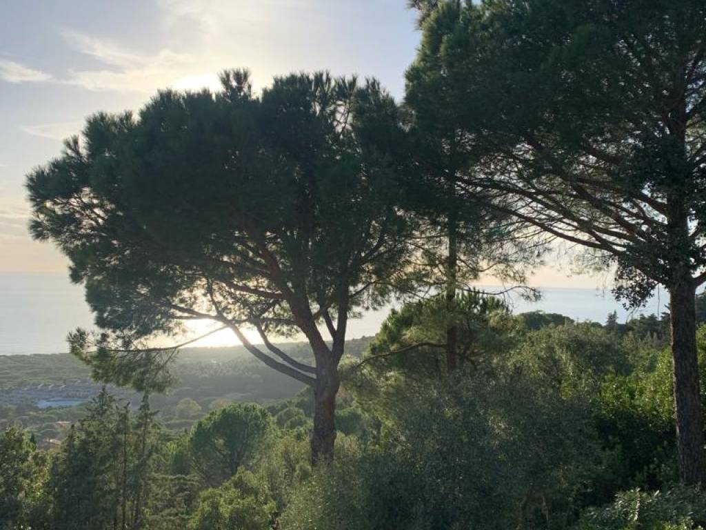 Appartamento a Castiglione della pescaia in Località Valle Cannucce - Foto 3