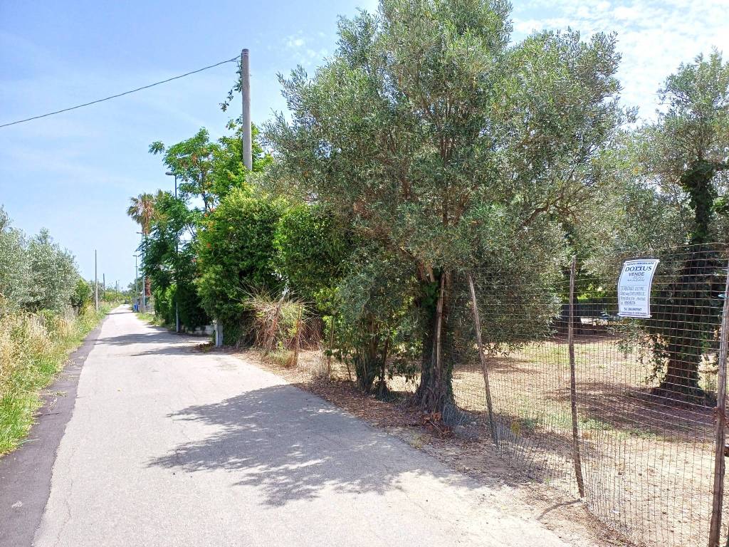 Terreno a Sellia marina in Via Ischia - Foto 3
