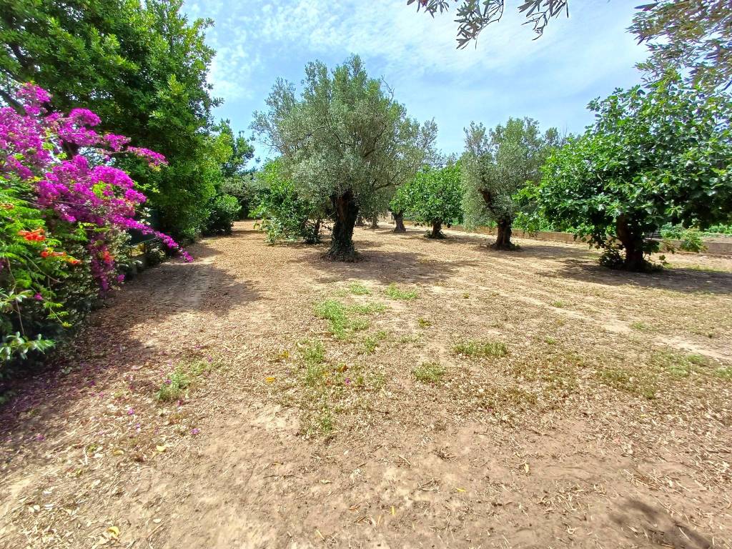 Terreno a Sellia marina in Via Ischia - Foto 4