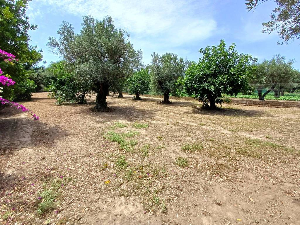 Terreno a Sellia marina in Via Ischia - Foto 5
