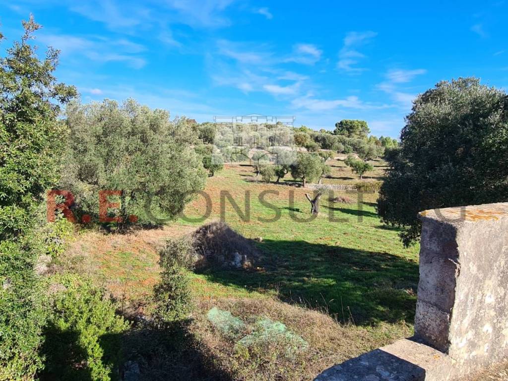 Rustico / casale a Ceglie messapica - Foto 3