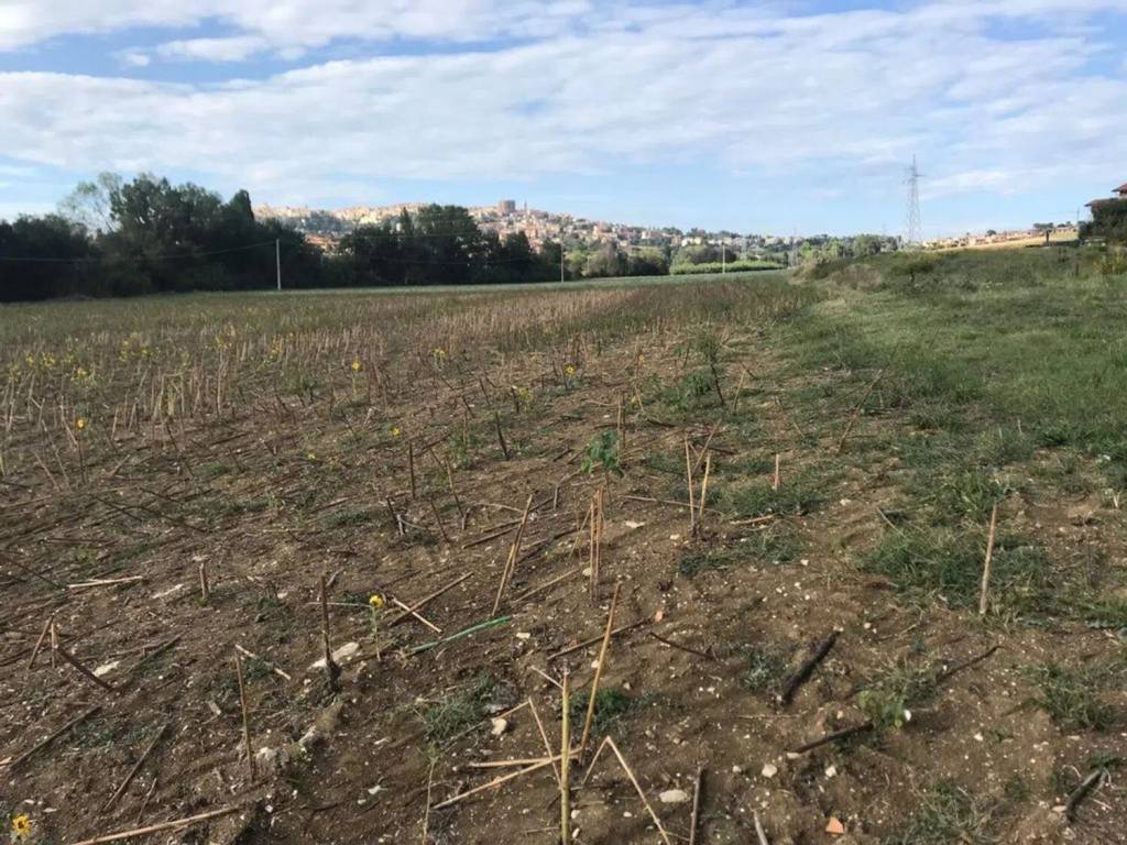 Terreno a Osimo in Via Cagiata - Foto 3