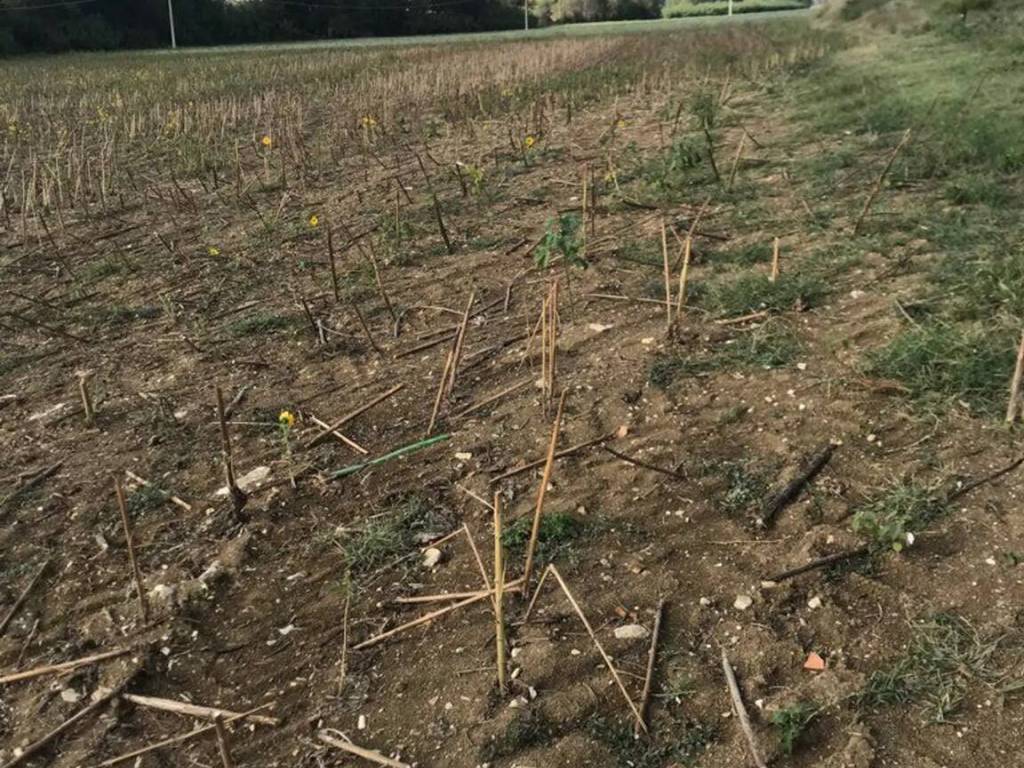 Terreno a Osimo in Via Cagiata - Foto 5