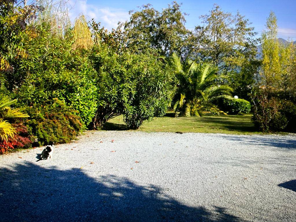 Villa a Pietrasanta - Foto 3