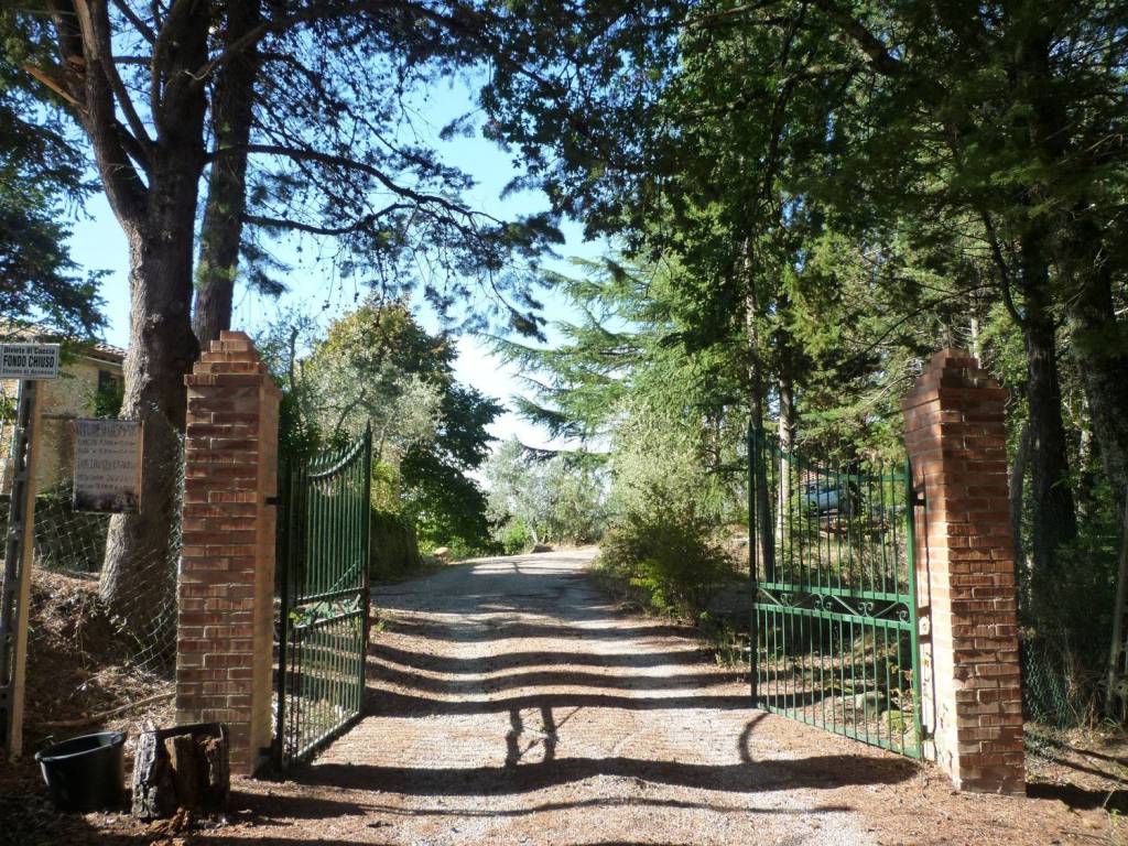 Rustico / casale a Asciano - Foto 2