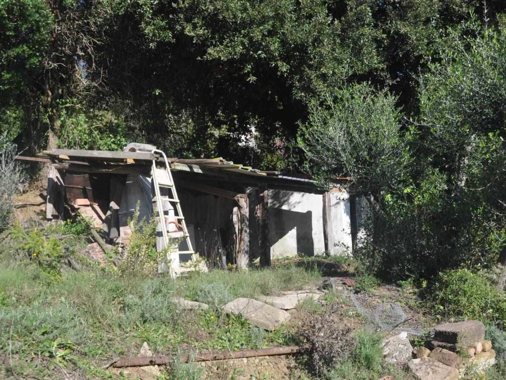 Terreno a Rosignano marittimo in Traversa livornese - Foto 2