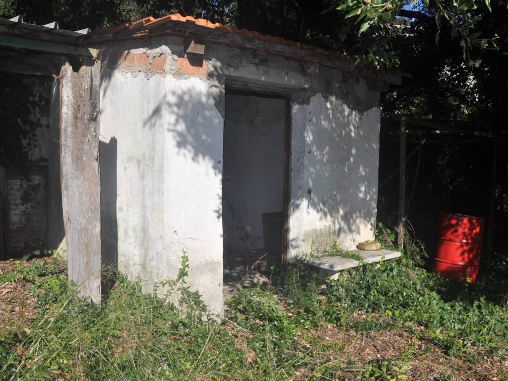 Terreno a Rosignano marittimo in Traversa livornese - Foto 3