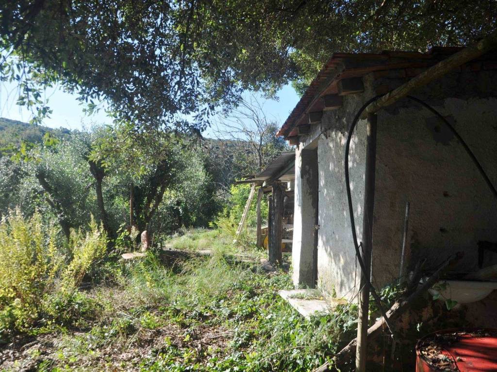 Terreno a Rosignano marittimo in Traversa livornese - Foto 5