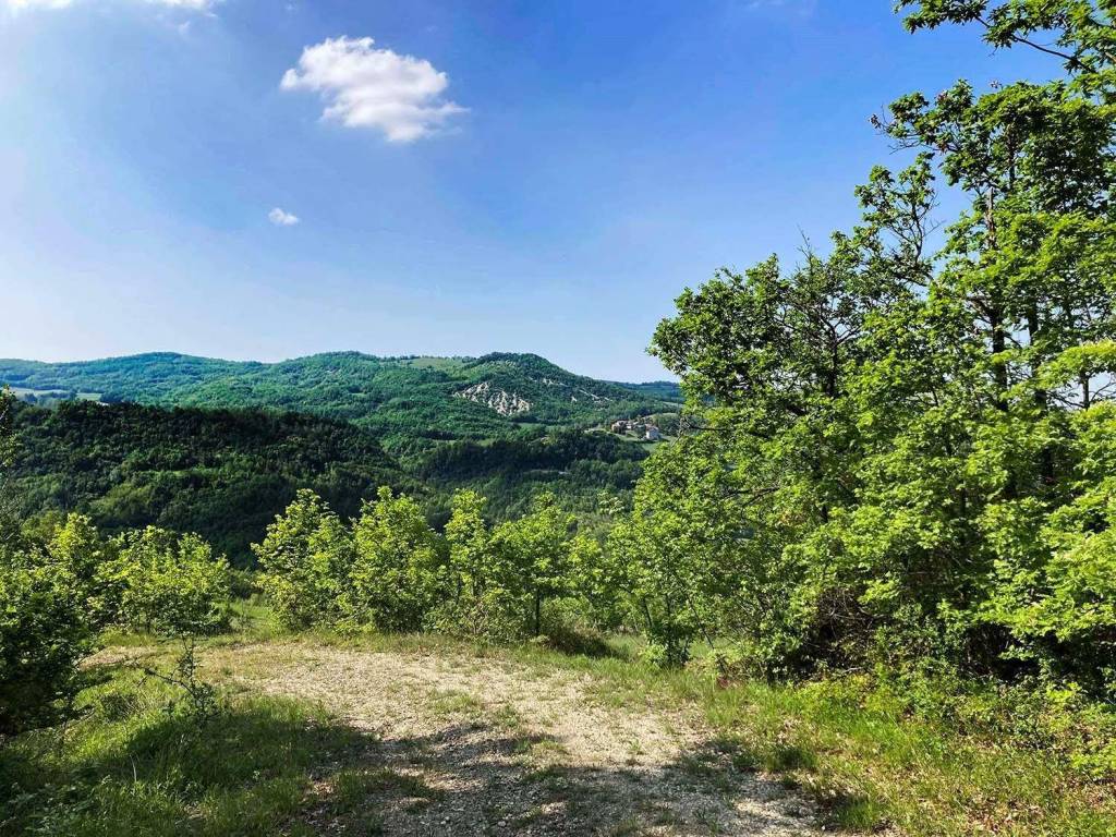 Terreno a Lugagnano val d'arda - Foto 3