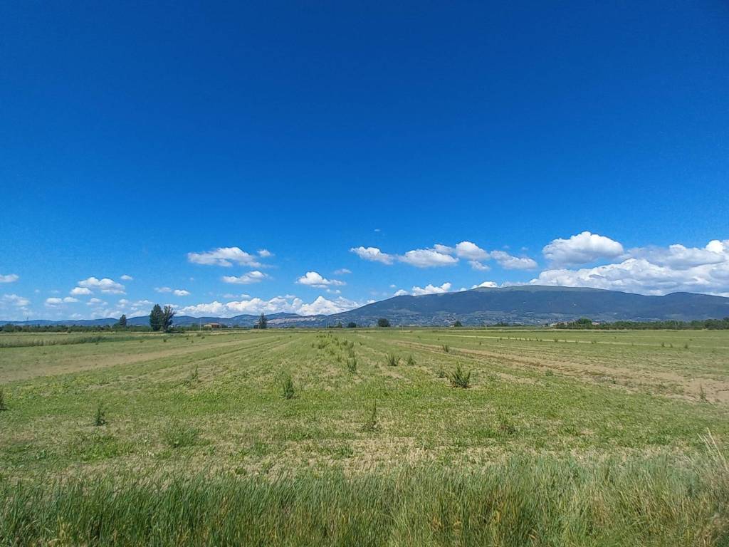 Rustico / casale a Cannara in Strada Provinciale di Collemancio - Foto 2