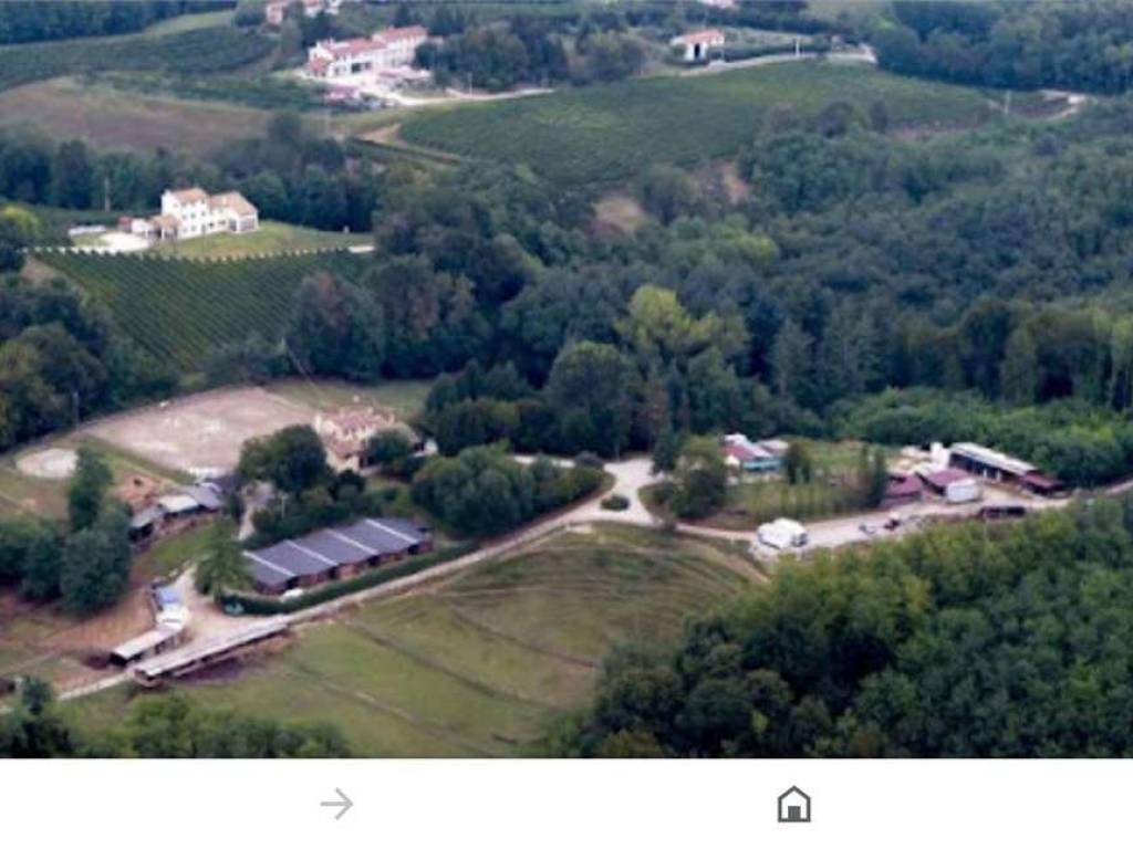 Villa a Gazzola in loc. la vigna di Croara - Foto 5