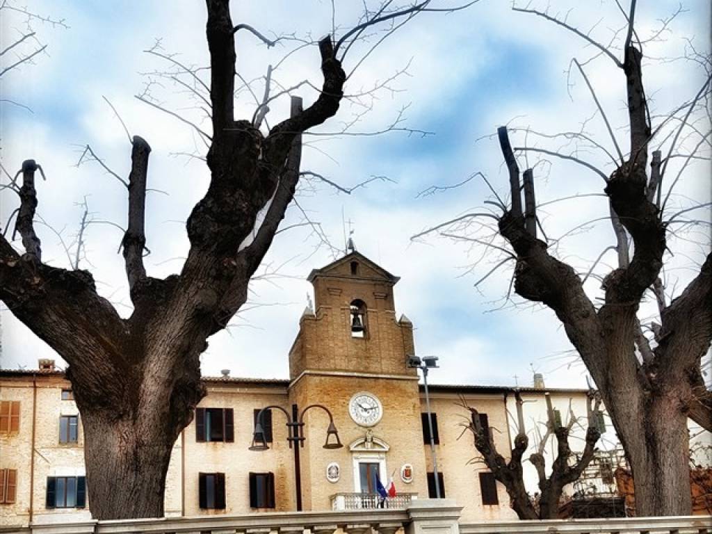 Casa indipendente a Monsano - Foto 2