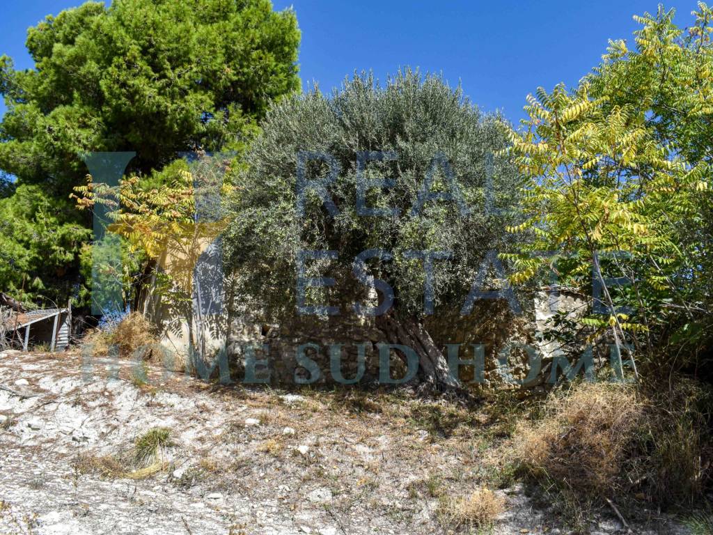 Rustico / casale a Palazzolo acreide in Via Roma - Foto 4
