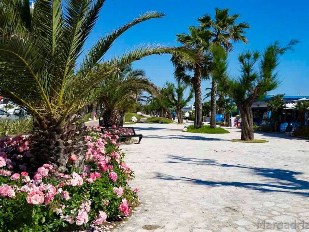 Appartamento a San benedetto del tronto - Foto 5