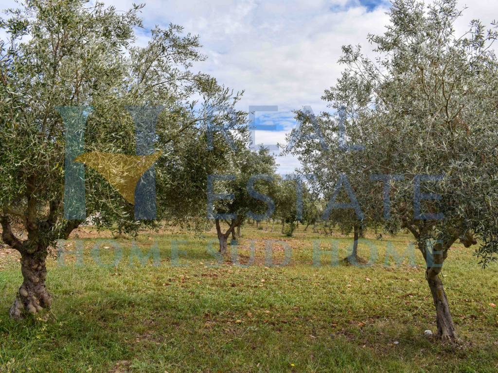 Villa a Noto in Via Tommaso Fazello, 228 - Foto 3