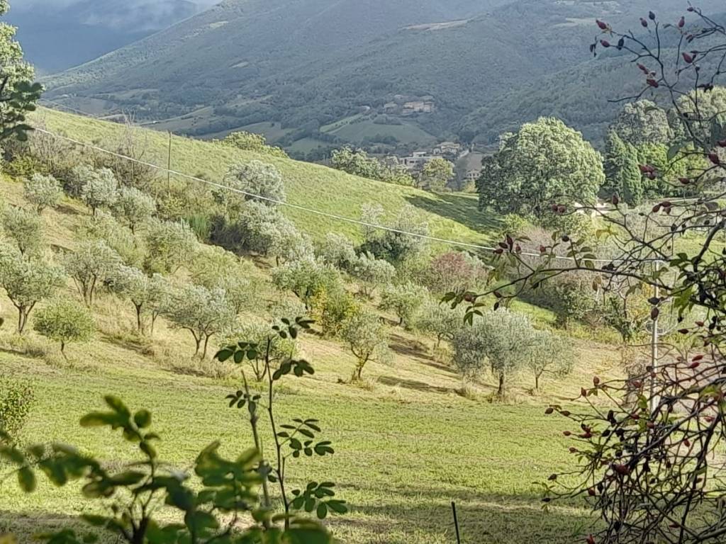 Terreno a Nocera umbra in Località Largnano - Foto 2