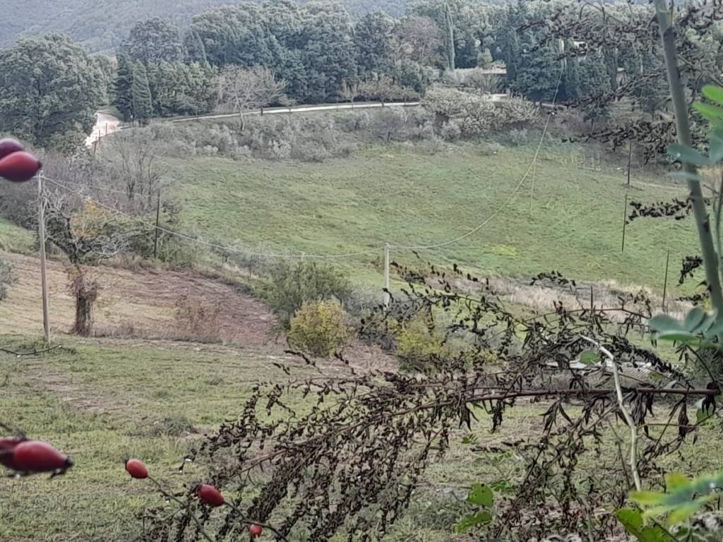 Terreno a Nocera umbra in Località Largnano - Foto 5
