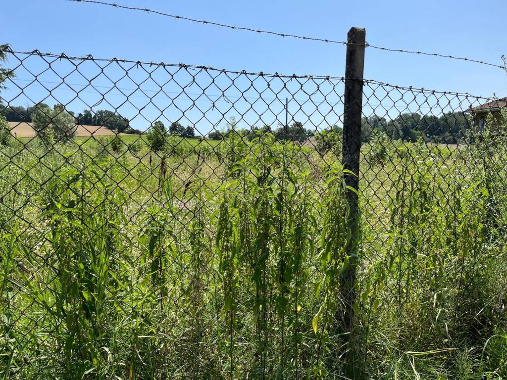 Terreno a Alessandria - Foto 5