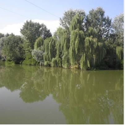 Palazzo / stabile a Curtatone - Foto 3