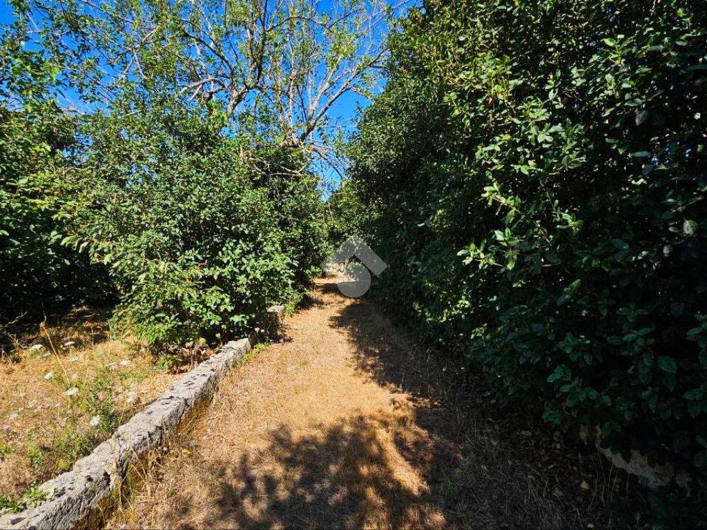 Rustico / casale a Galatone in SC Spisari - Foto 3
