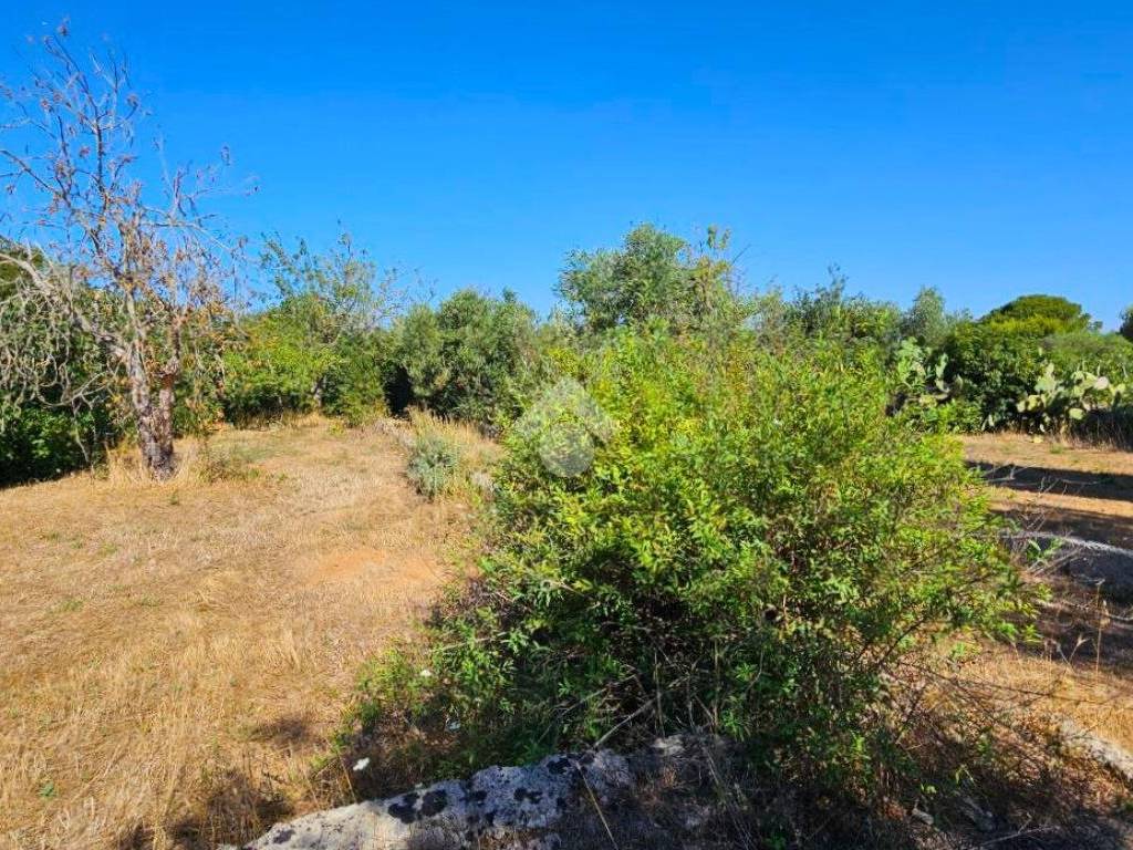 Rustico / casale a Galatone in SC Spisari - Foto 4