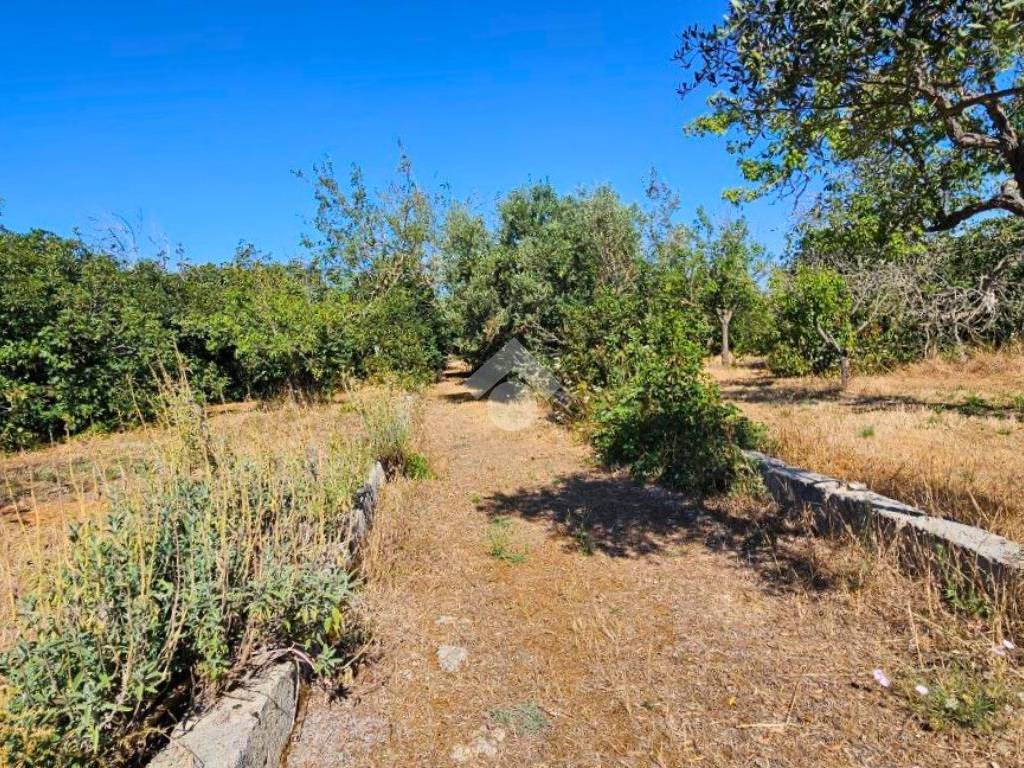 Rustico / casale a Galatone in SC Spisari - Foto 5