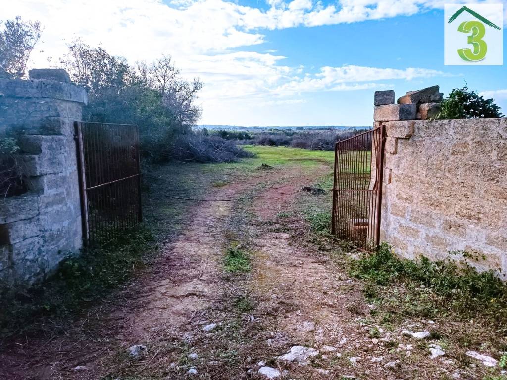Terreno a Gagliano del capo - Foto 2