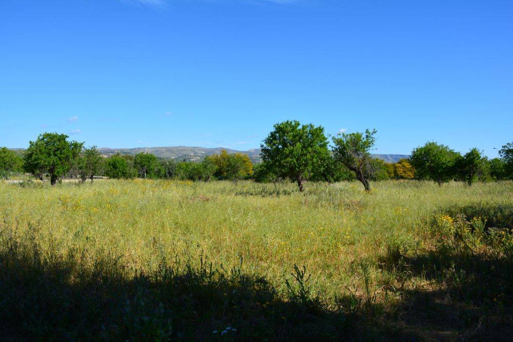 Terreno a Noto in Via Gaetano Martino, 65 - Foto 2