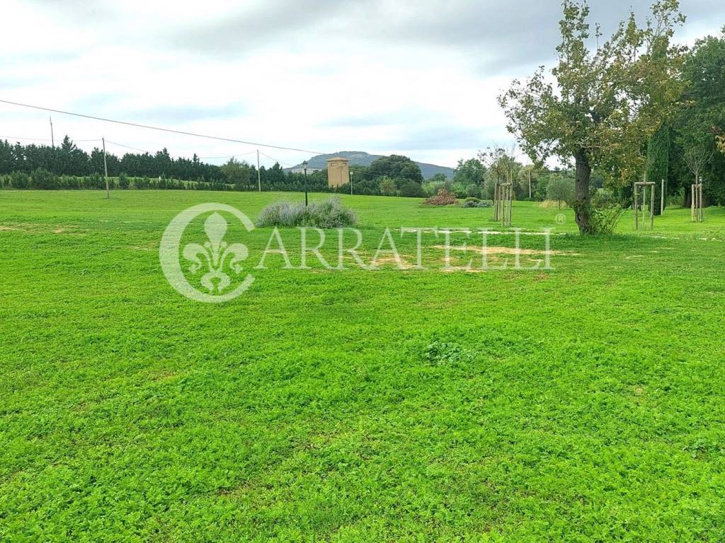 Rustico / casale a Grosseto in strada dei laghi - Foto 2