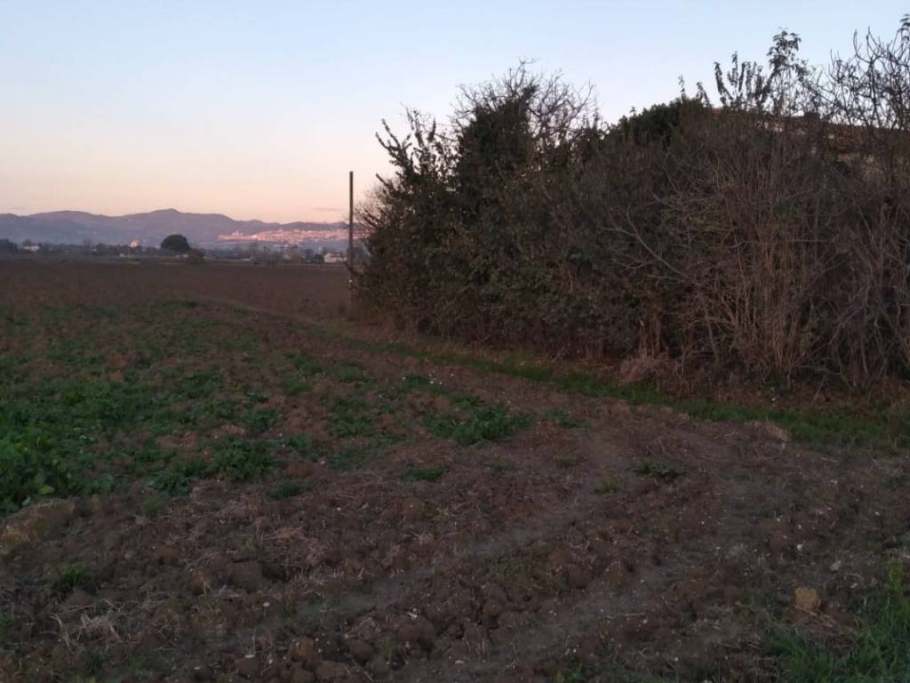 Rustico / casale a Bettona in Via Torte - Foto 2