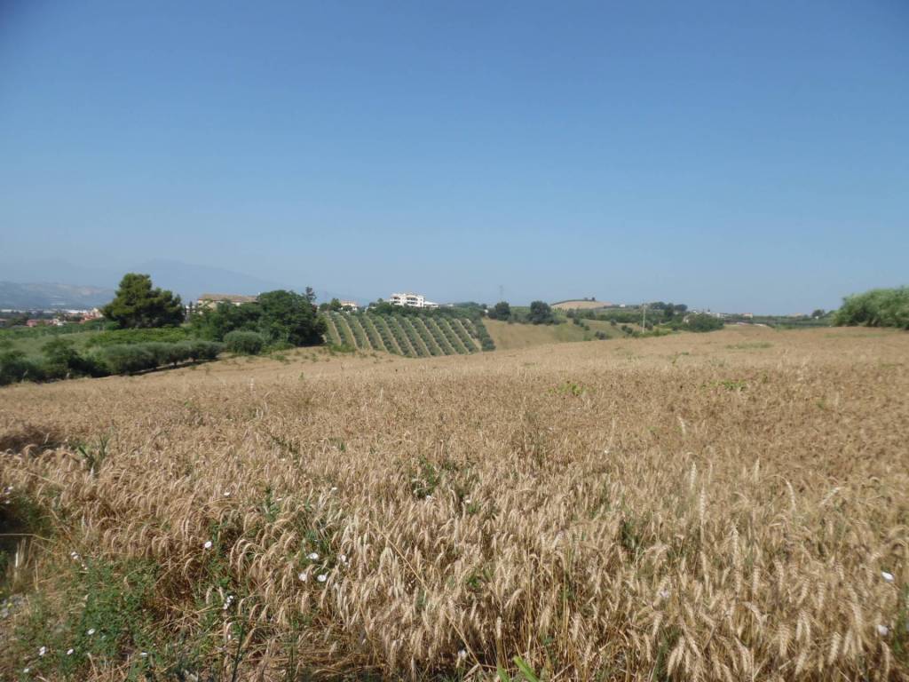 Terreno a Monteprandone in Contrada San Donato - Foto 3