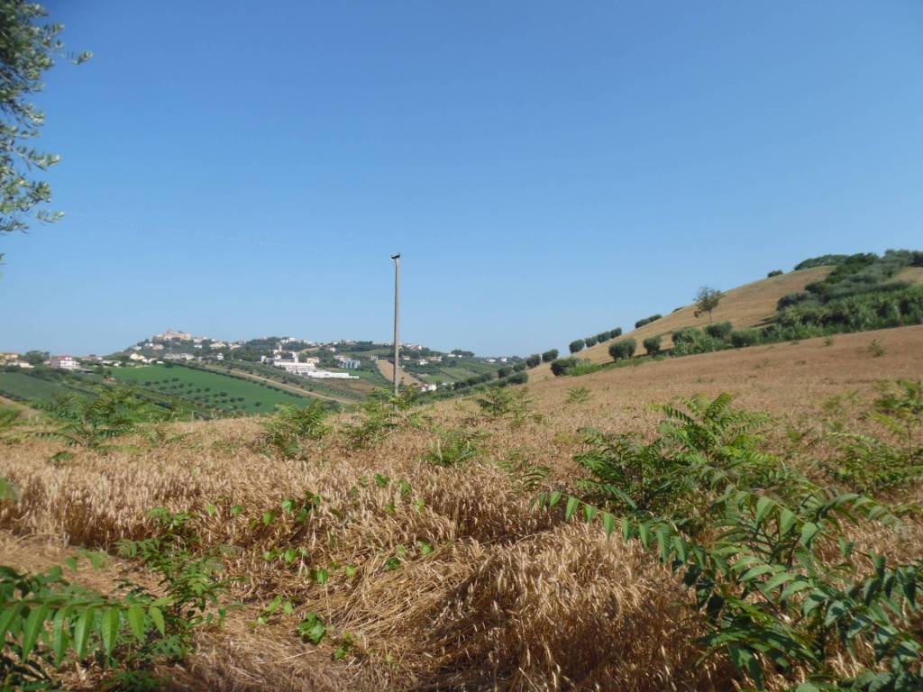 Terreno a Monteprandone in Contrada San Donato - Foto 5