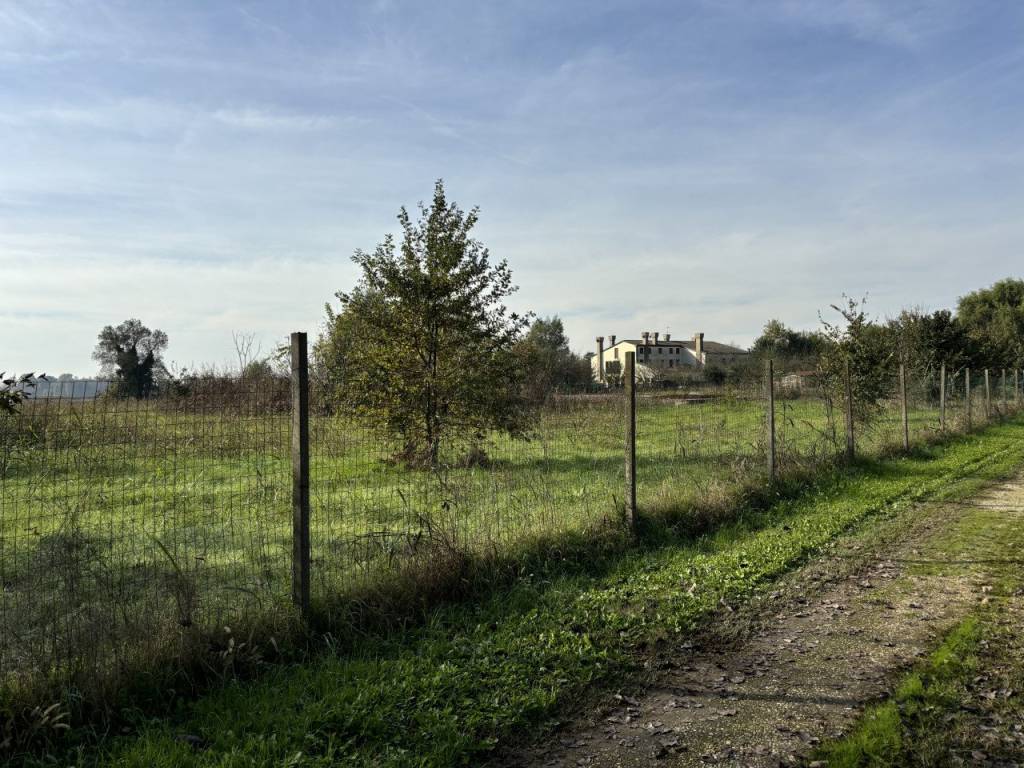 Terreno a Conselve - Foto 3