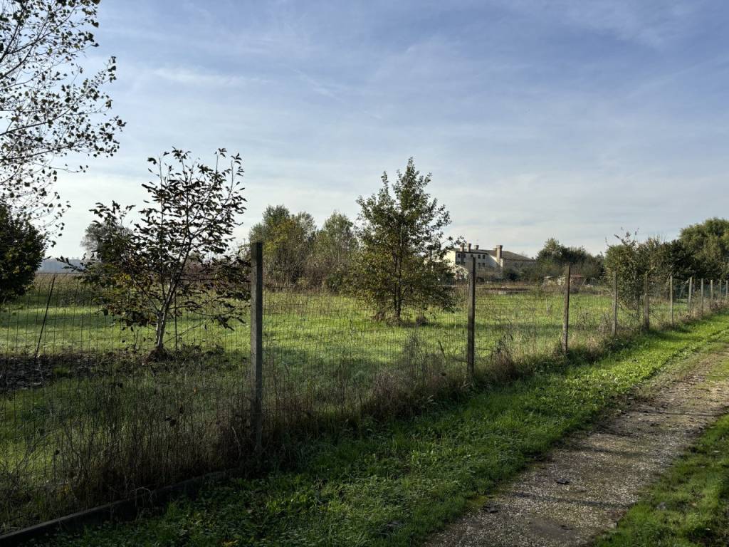 Terreno a Conselve - Foto 4
