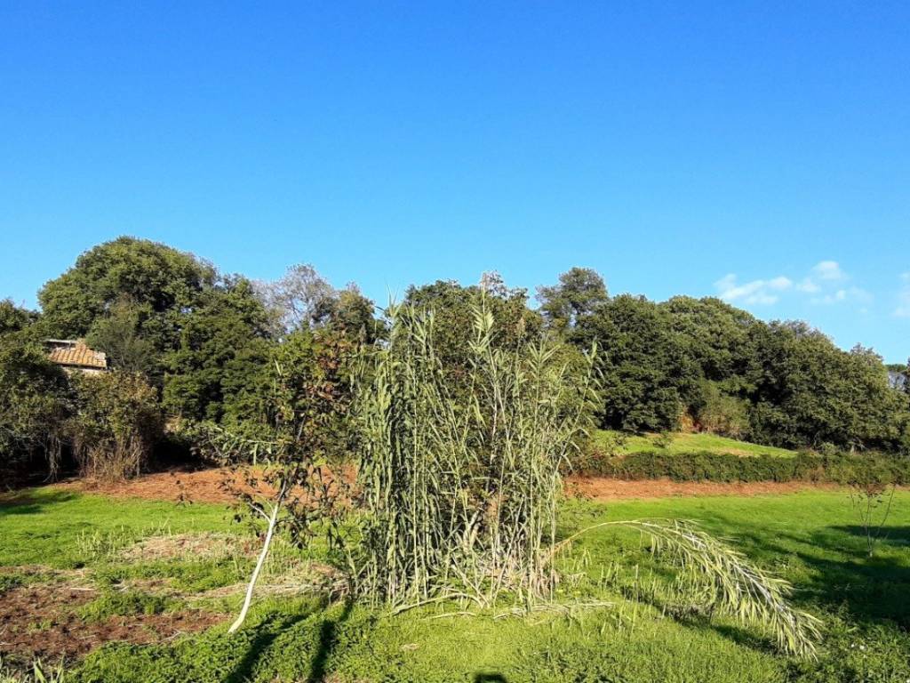Terreno a Vetralla in Via Cassia Botte - Foto 3