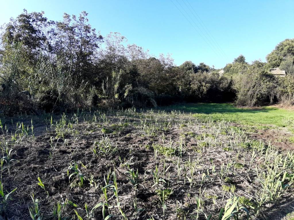 Terreno a Vetralla in Via Cassia Botte - Foto 4
