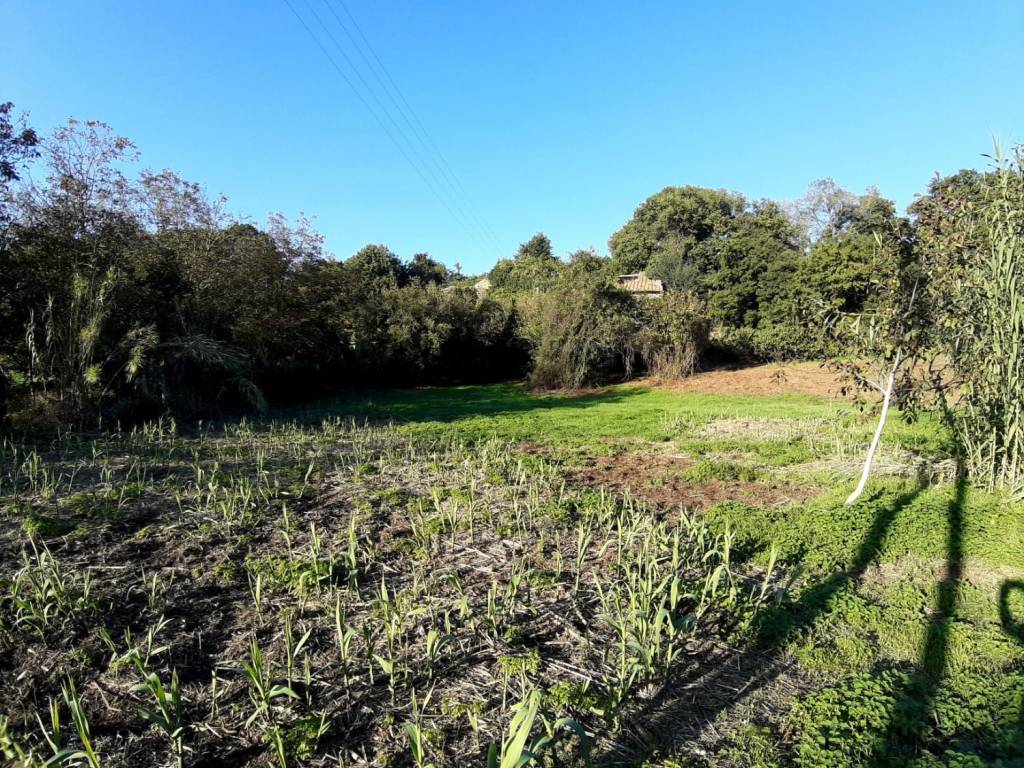 Terreno a Vetralla in Via Cassia Botte - Foto 5