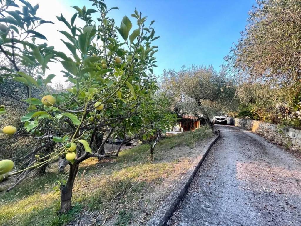Villa a Vallebona in Via Bellavista S.N.C. - Foto 5