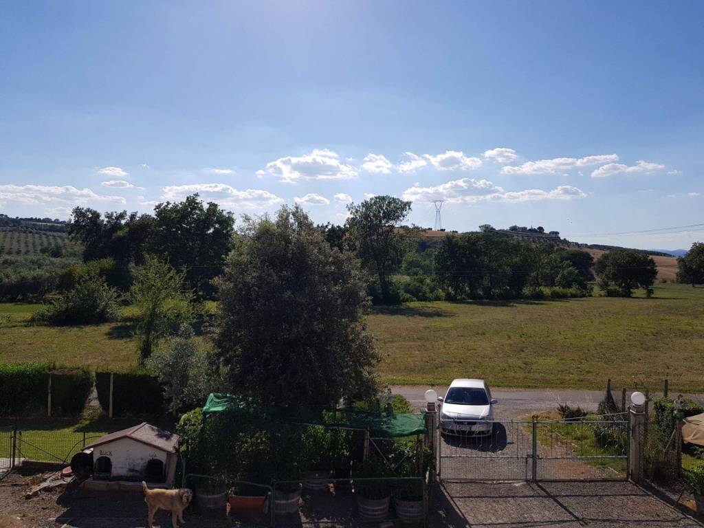 Immobile a Cinigiano in località porrona - Foto 5
