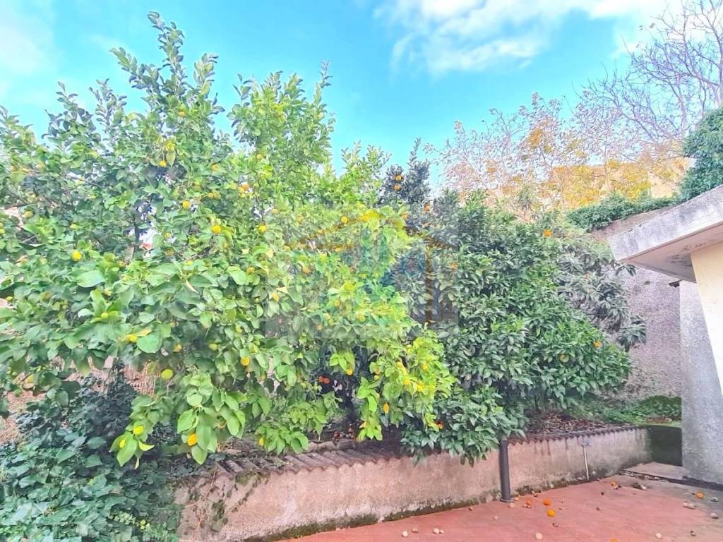 Appartamento a Bitti - Foto 5